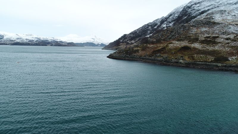 A sea loch with a steep hill dropping into the water