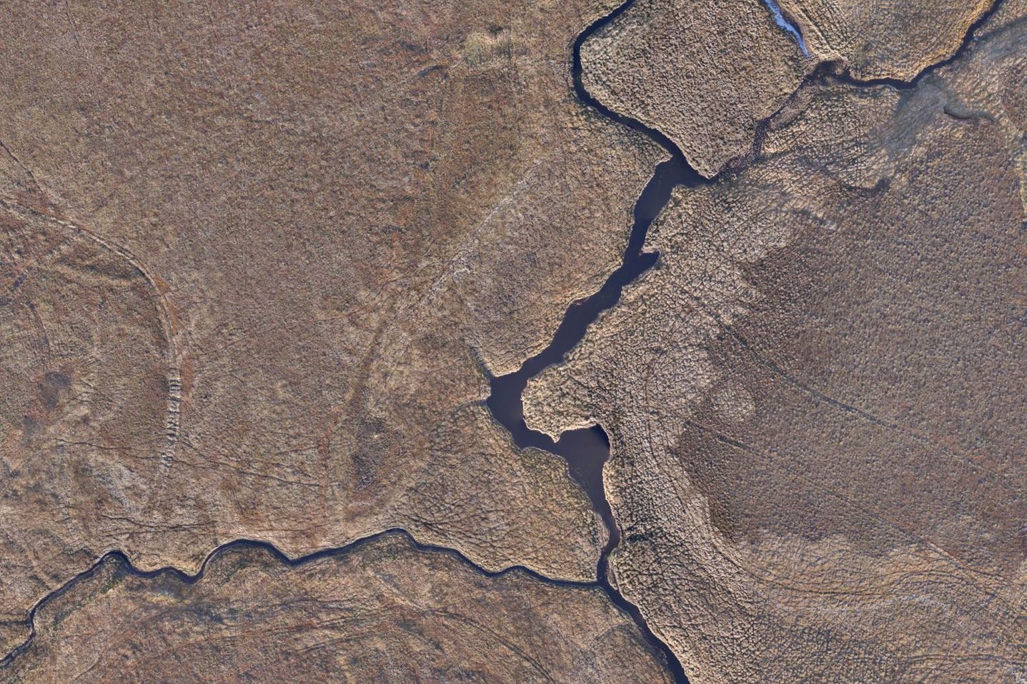 Straight-down drone map of blanket bog with a deep eroding channel and pools, mapped by peat condition, with proposed dams and photo points