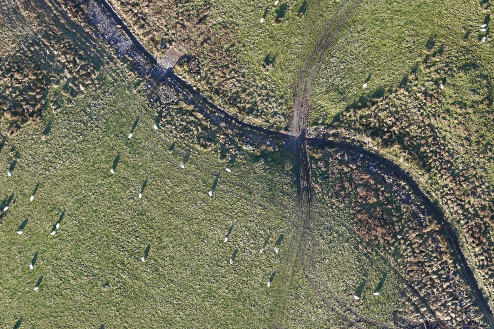 Straight-down drone map of hill grazing with a burn, a vehicle ford and sheep, with the grazing field, rushes, the burn buffer and the ford marked